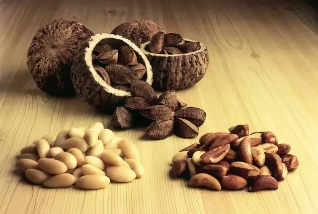 Brazilian nut for potency