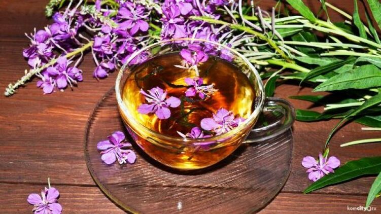 A decoction of fireweed leaves and flowers for the treatment of male diseases. 